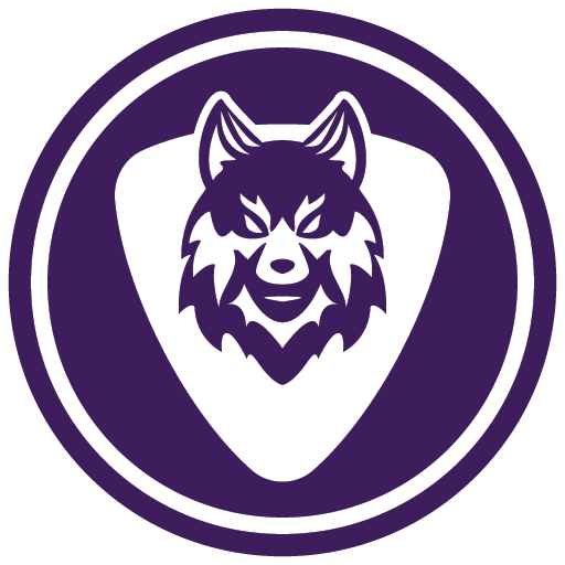 Wolf VPN -فیلتر شکن پرسرعت قوی